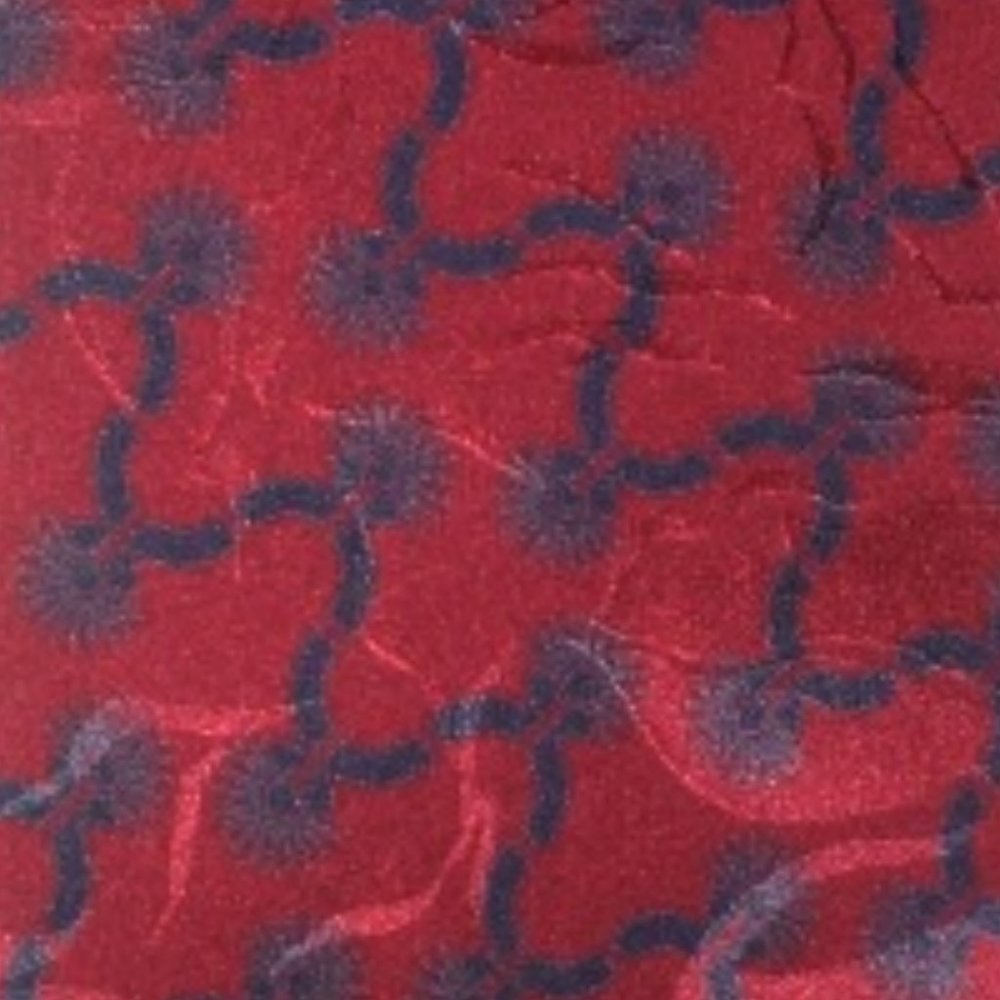 SMITHSONIAN INSTITUTION 100% ITALIAN SILK Tie USA